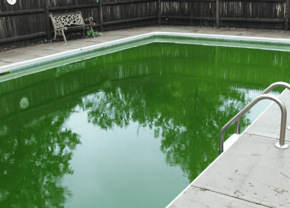 Eau verte piscine que faire : comment rattraper votre piscine
